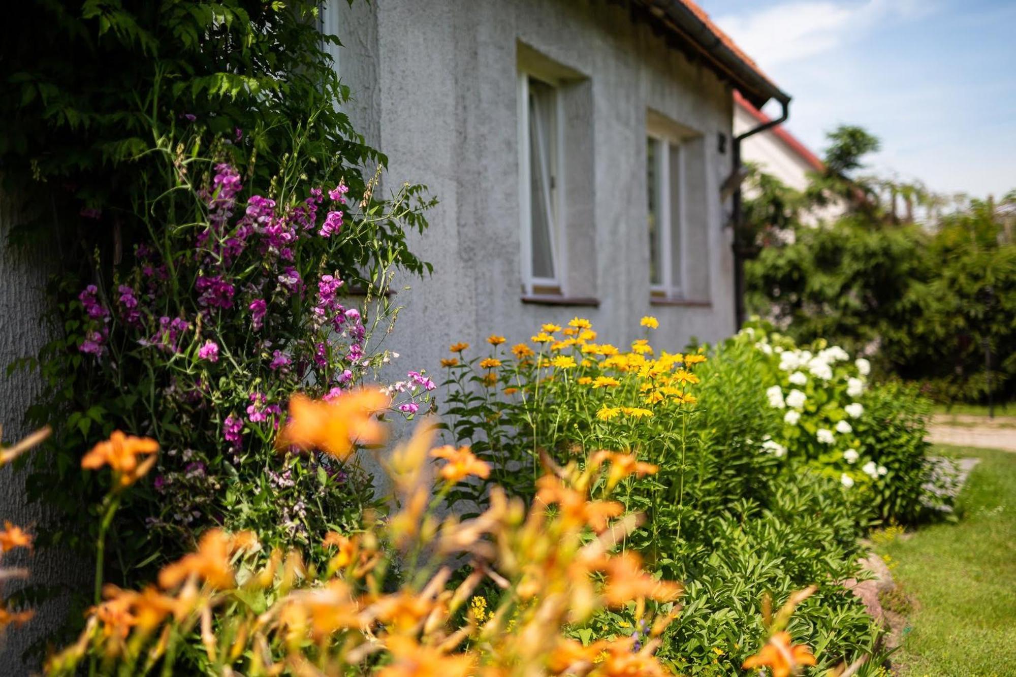 Apartament Mrągowo Zewnętrze zdjęcie